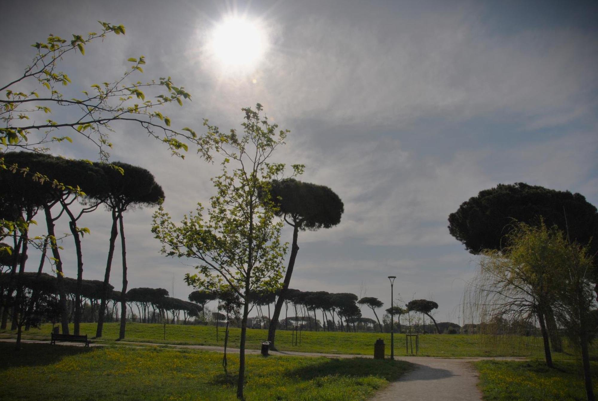 Alloggio Di Giorgia Fiumicino Exterior photo